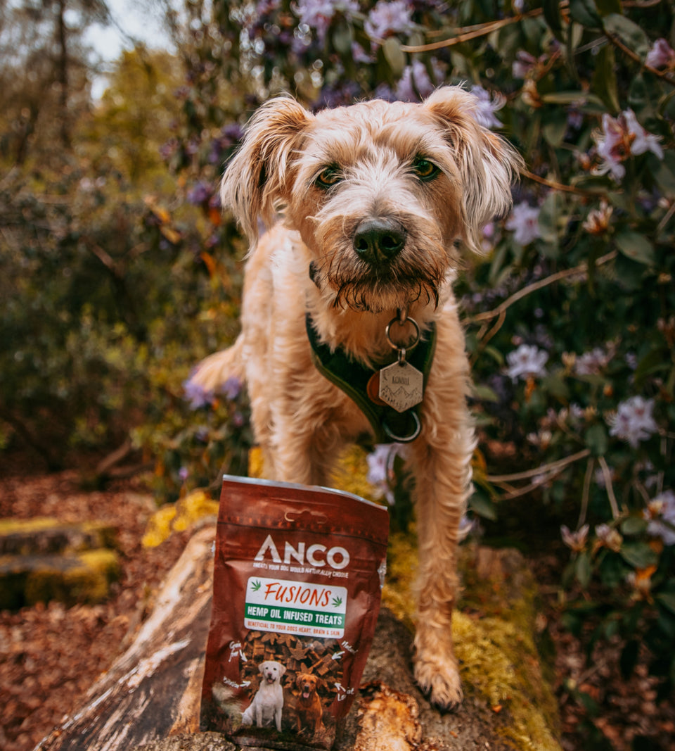 Anco fusions with hemp oil