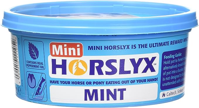 Horslyx mini mint lick it 650g