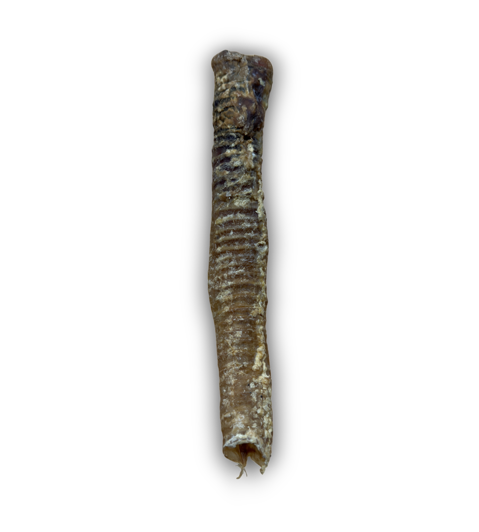 Anco lamb tubes