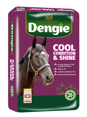 Dengie cool condition & shine