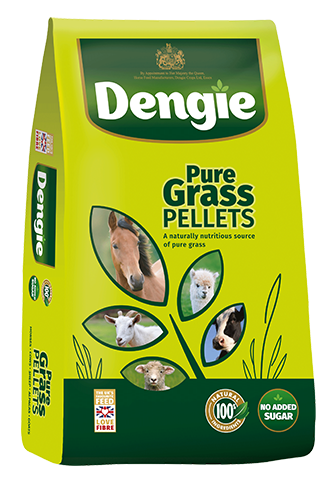 Dengie grass pellets