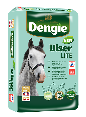 Dengie ulser lite
