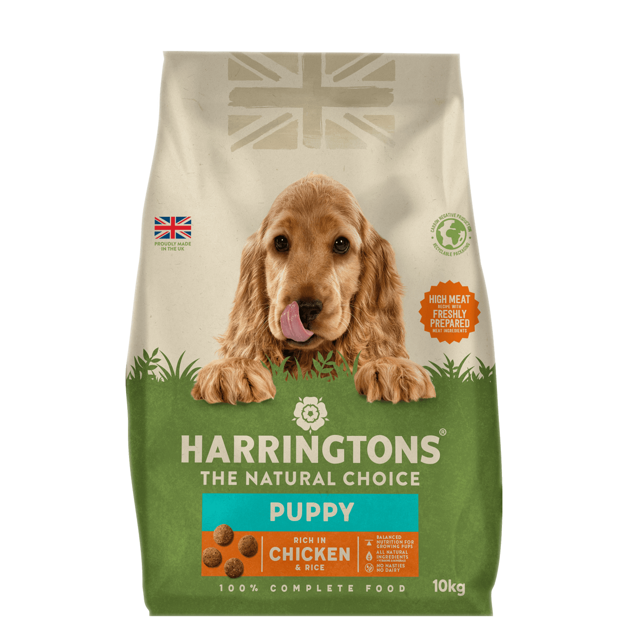 harringtons puppy