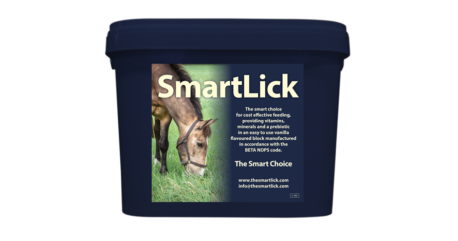 The smart lick 12.5kg
