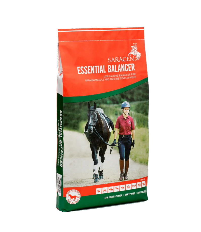 Saracen essential balancer