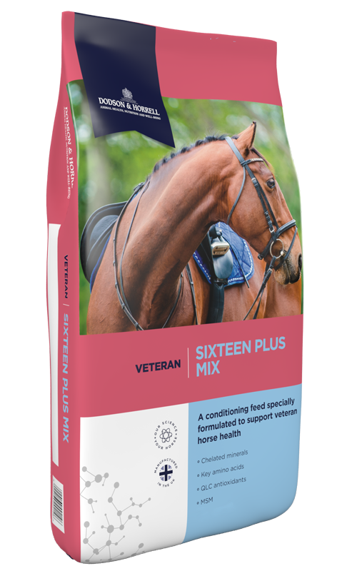 D&H Sixteen Plus