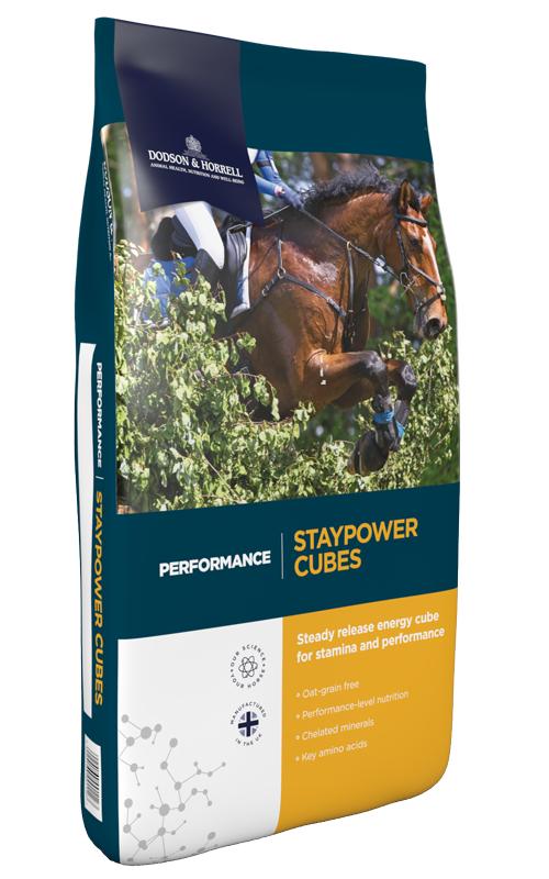 D&h Staypower cubes