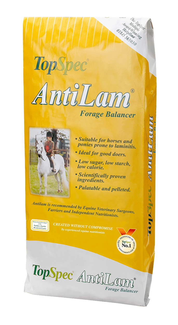 Topspec AntiLam
