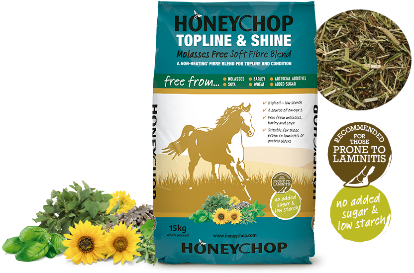 honeychop topline shine