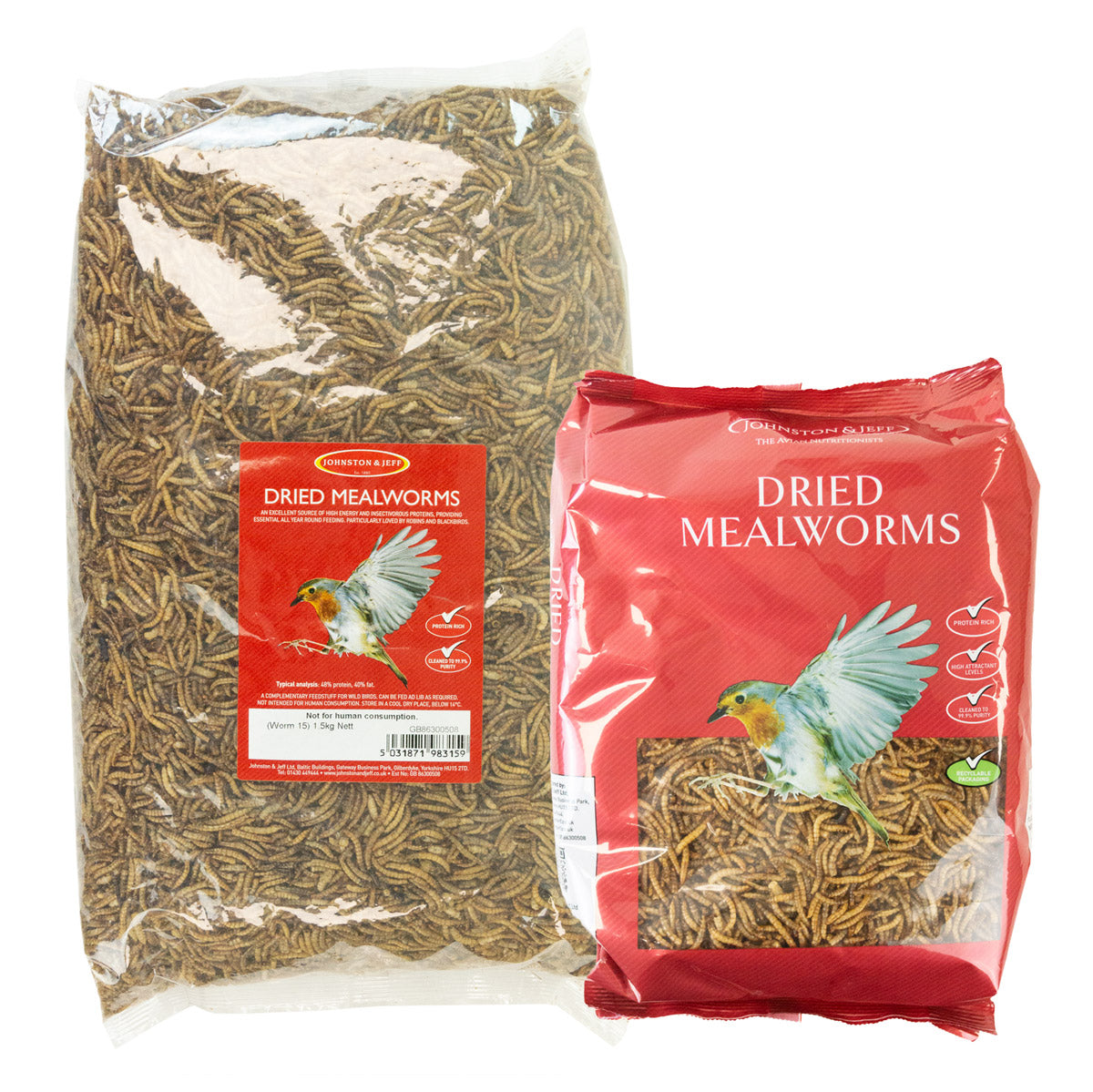 JJ meal worms