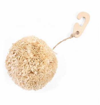 corny pompom