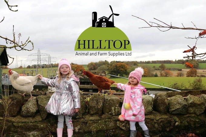 Hilltop Animal and Farm Supplies: The One-Stop Shop for Animal Enthusiasts
