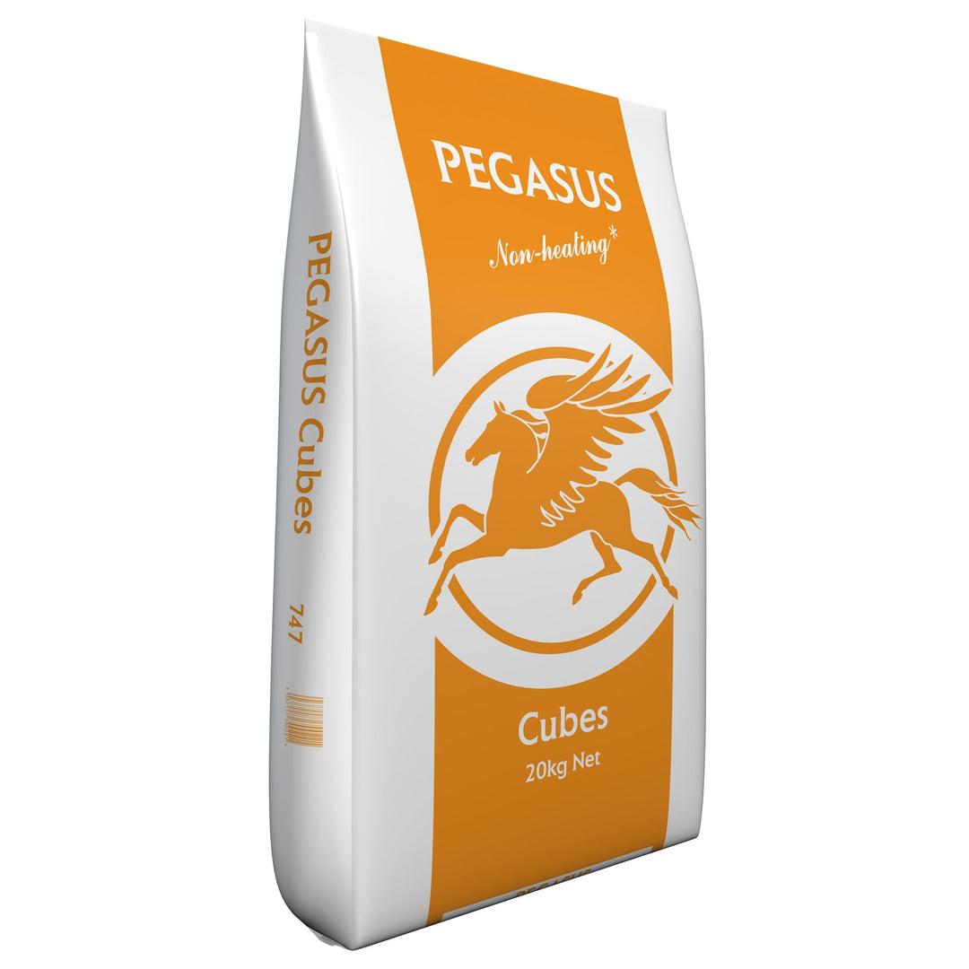 Spillers Pegasus cubes