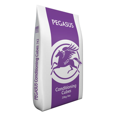 Spillers Pegasus conditioning cubes
