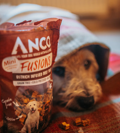 anco fusions mini ostrich