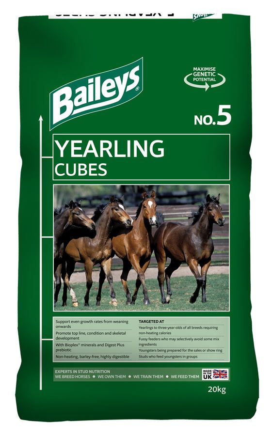 Baileys no5 yearling cubes