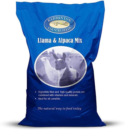 badmington Llama and alpaca mix