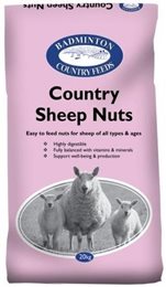 Badmington sheep mix