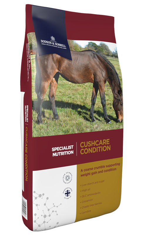 D&H cushcare condition