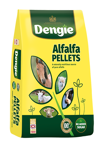 Dengie Alfalfa  pellets