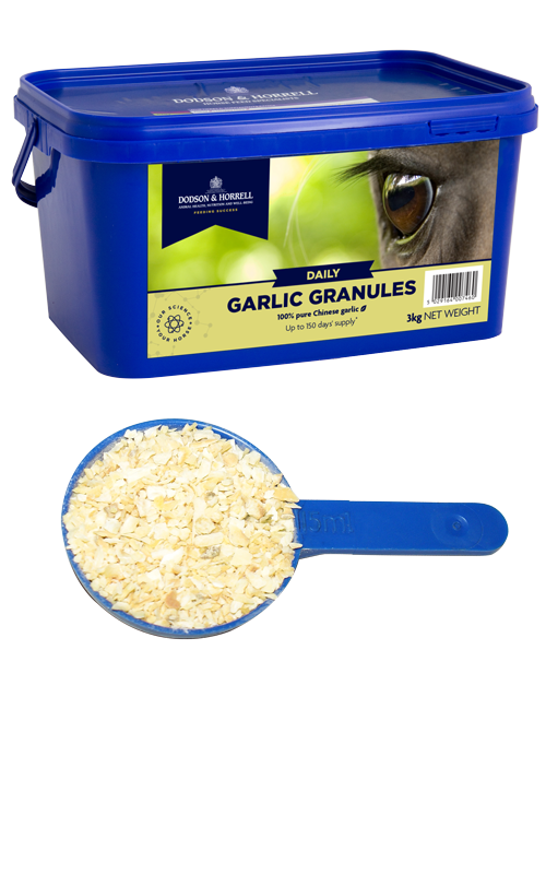 D&H garlic granules