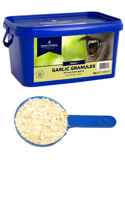 D&H garlic granules