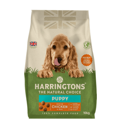 harringtons puppy