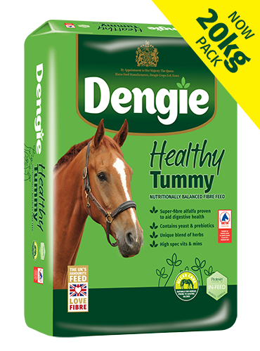 Dengie Healthy tummy