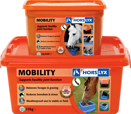 horslyx mobility 5kg