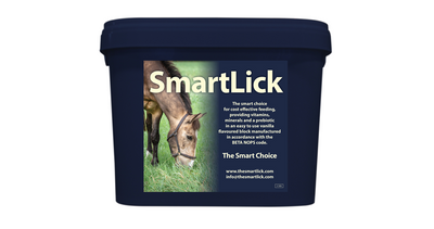 The smart lick 12.5kg