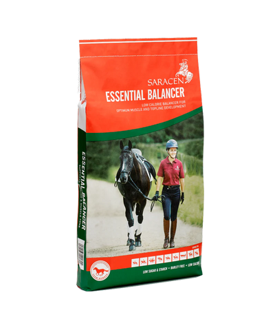 Saracen essential balancer