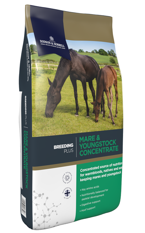D&H mare and young stock concentrate