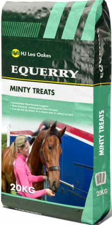 Equerry minty horse treats