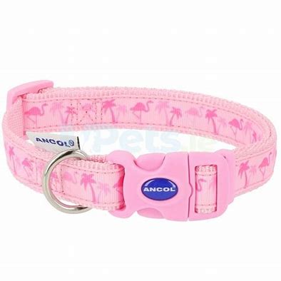 flamingo collar pink