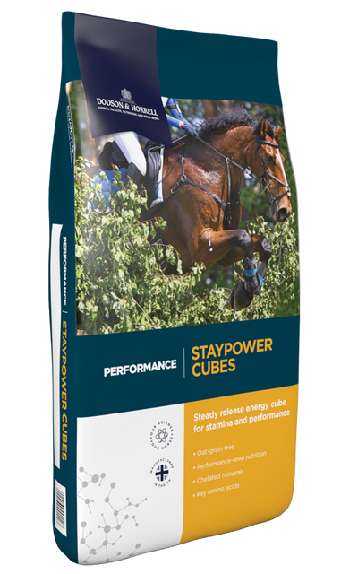 D&h Staypower cubes