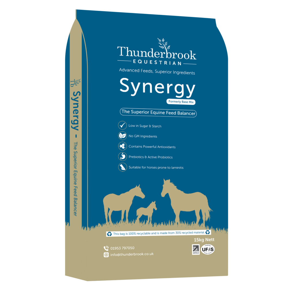 thunderbrook synergy