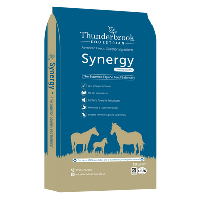 thunderbrook synergy