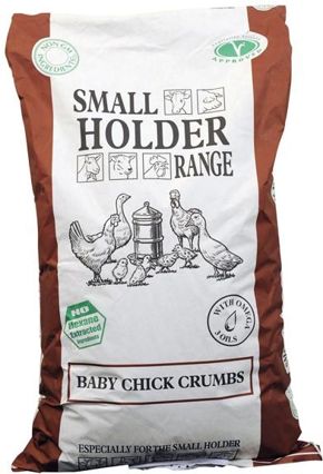 Allen and page baby chick