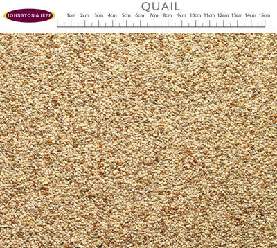 JJ quail food