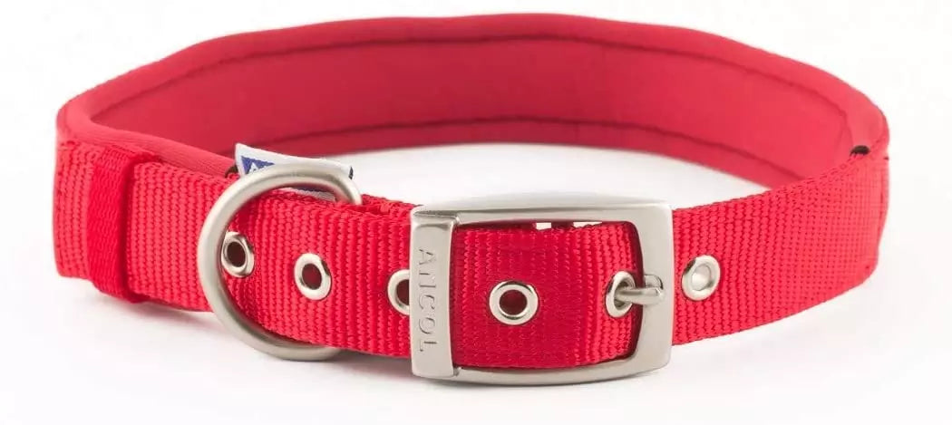 Dog collar padded red 22