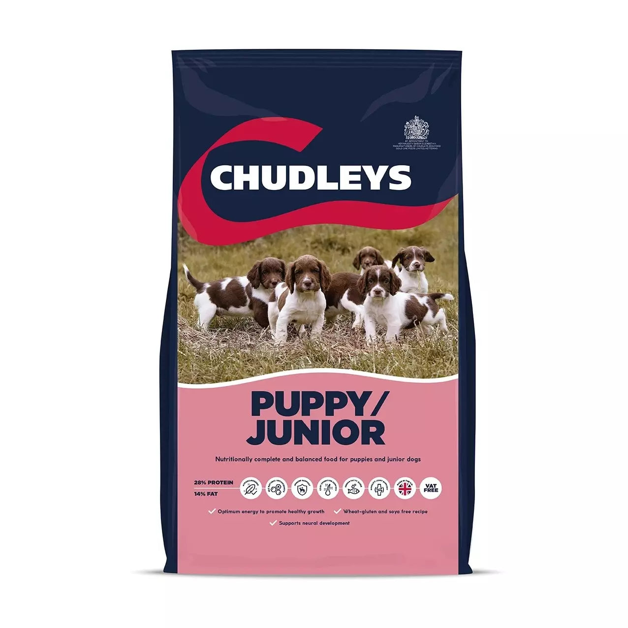 chudleys puppy
