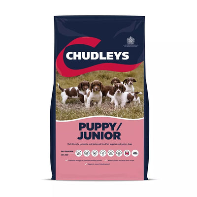 chudleys puppy