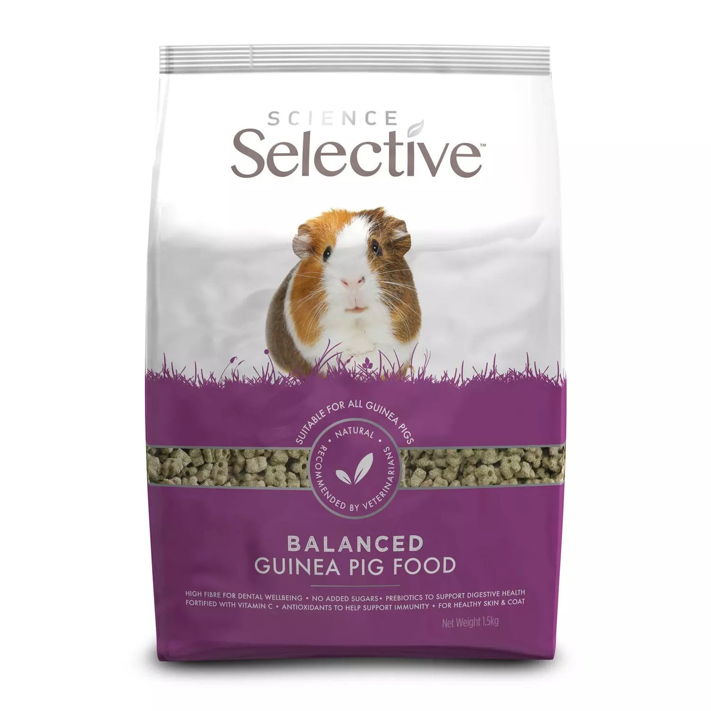 Science Selective Guinea pig