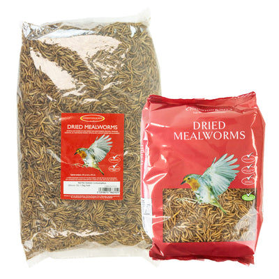 JJ meal worms