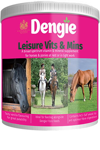 Dengie vits and mins