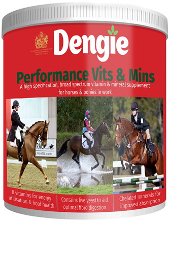 dengie performance vits & Mins